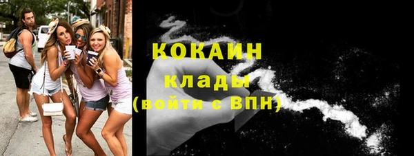 шишки Кукмор