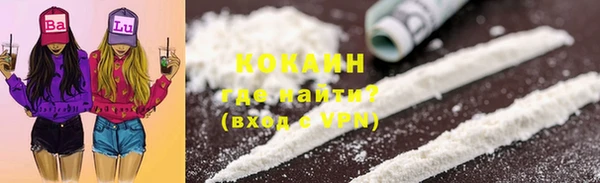 шишки Кукмор