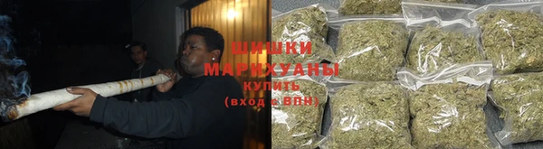 шишки Кукмор