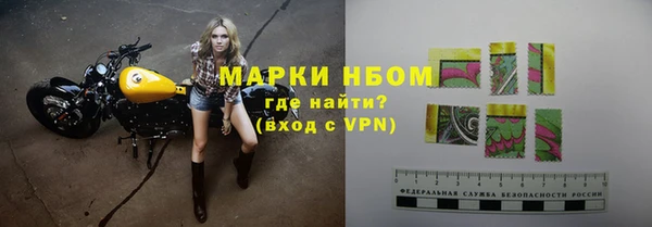 шишки Кукмор
