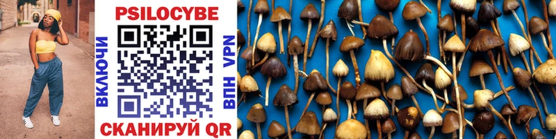 Галлюциногенные грибы Magic Shrooms  Купить  Аткарск 